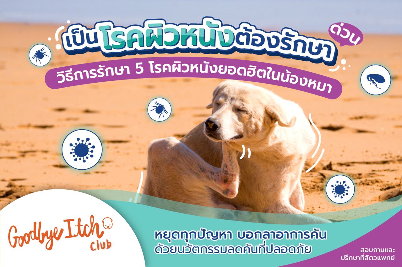 เป็นโรคผิวหนังต้องรักษาด่วน !