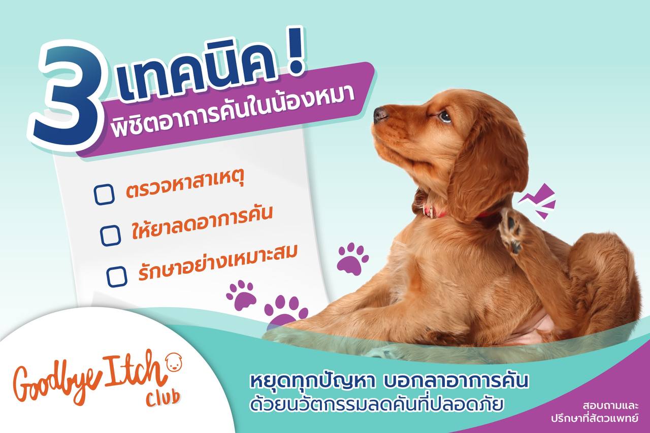 3 เทคนิค !